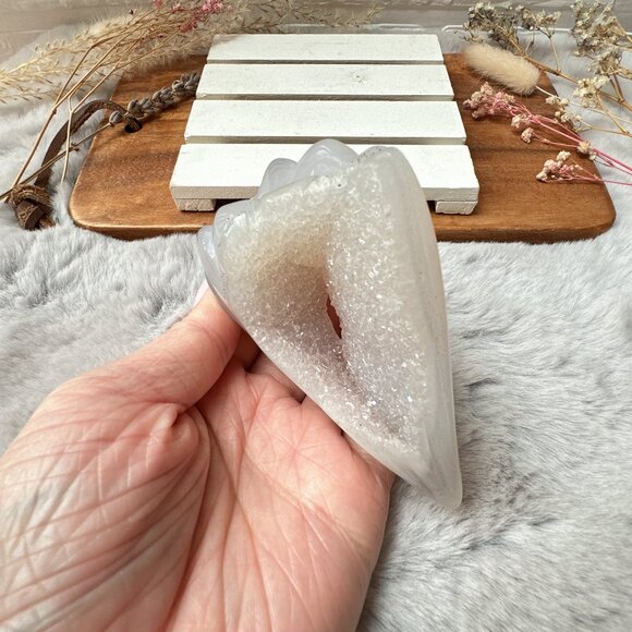 Gorgeous Druzy Agate Seashell Carving - Picture 2 of 6